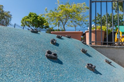 DSC08120.jpg-nggid03621-ngg0dyn-432x288x100-00f0w010c011r110f110r010t010