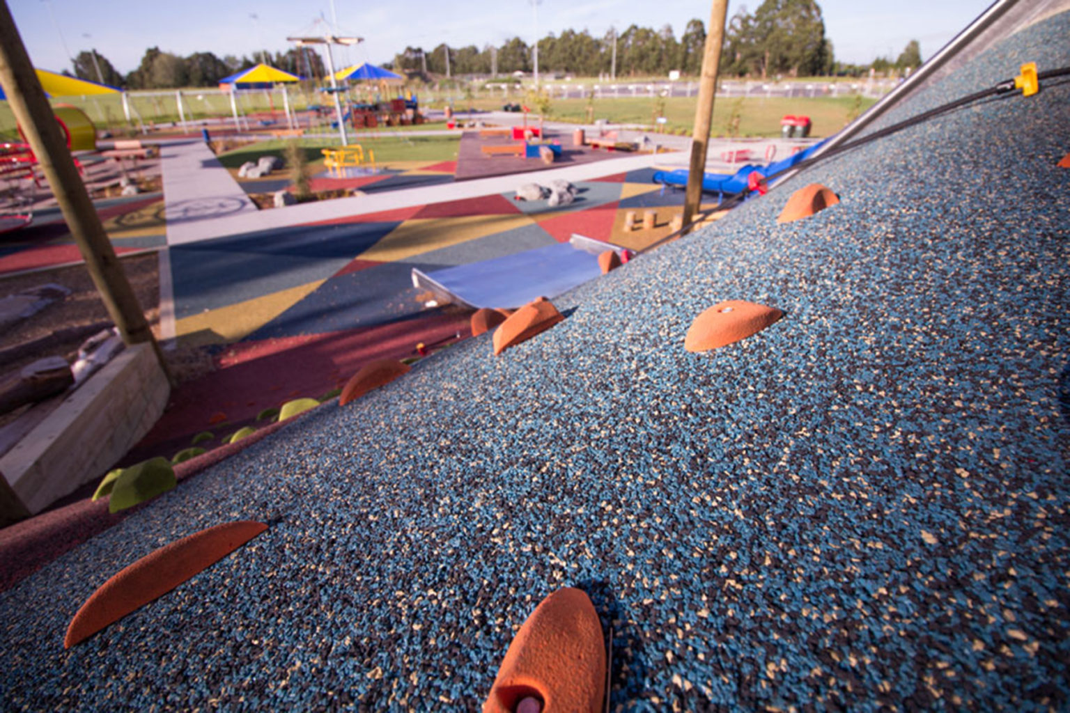 20180209_Christchurch_Foster_Park3-copy