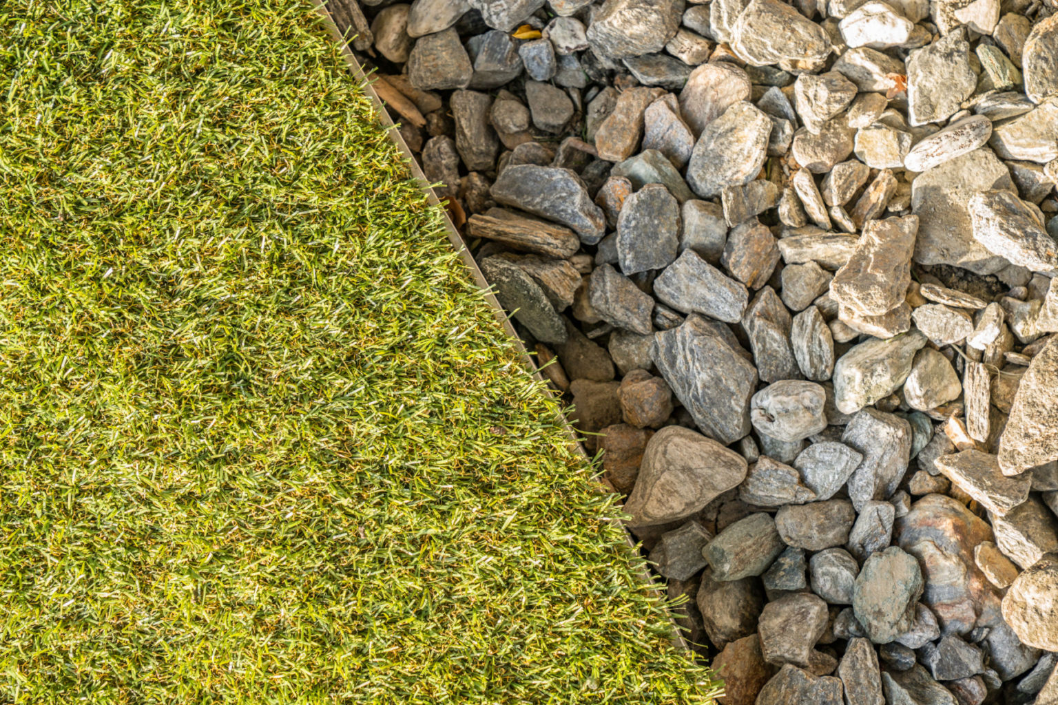 Queenstown Gardens_DSC05802