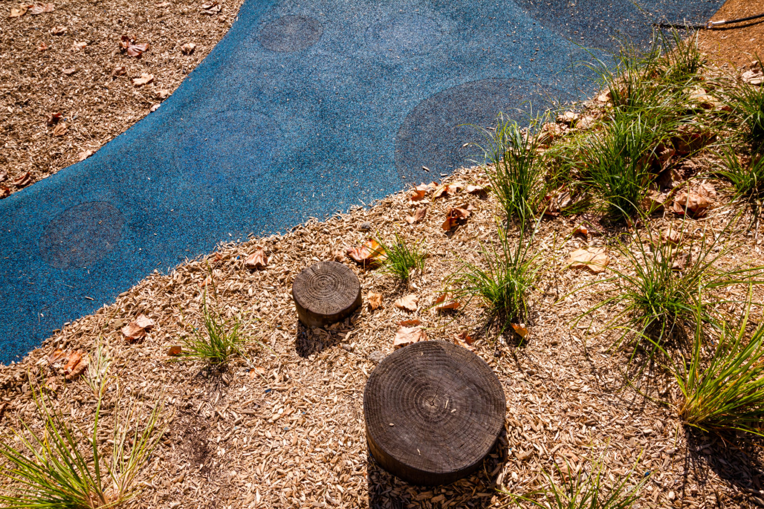 Pahurehure Reserve_IMG_9332