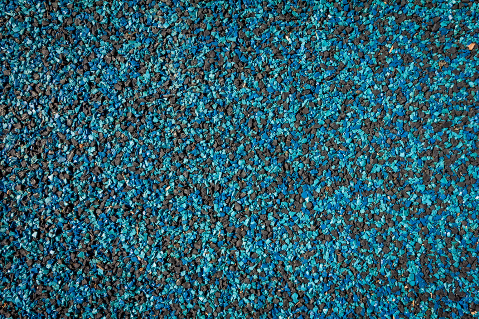 Pahurehure Reserve_IMG_9359