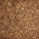 Pahurehure Reserve_IMG_9361