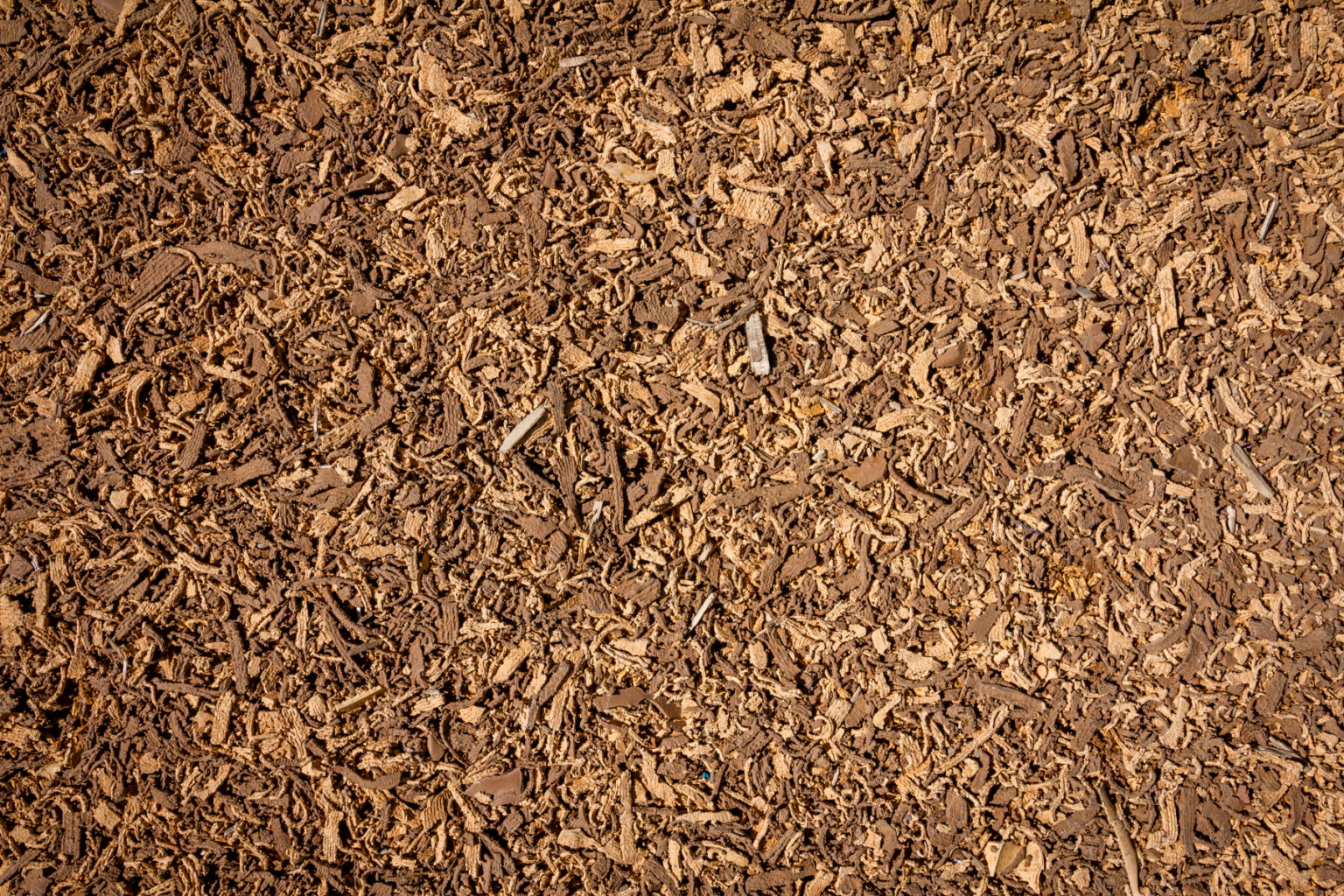 Pahurehure Reserve_IMG_9361