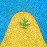 76_cornwall-park_FMP4905-copy