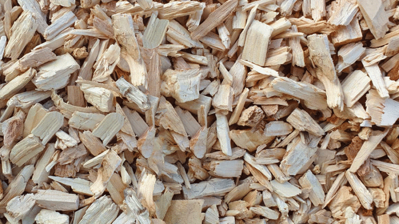 TopChip_900x600---product-image