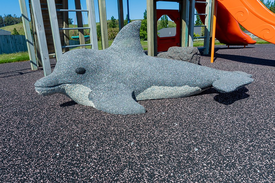 Pour’n’Play Dolphin