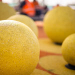 Richardson-Park_STL_2409